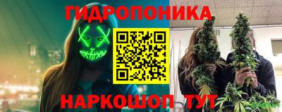 Альфа ПВП Можайск