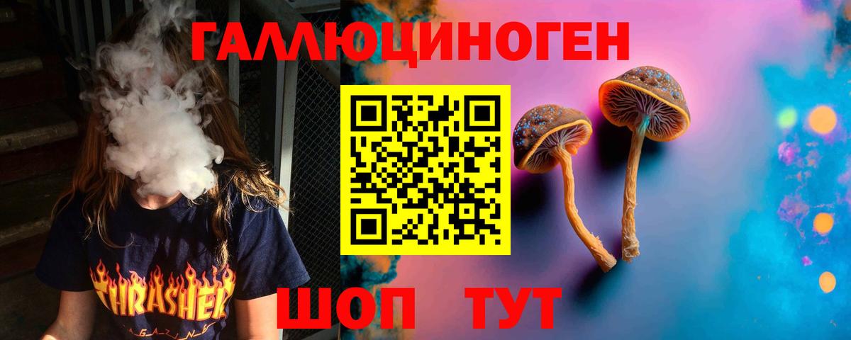 Гусиноозёрск  Галлюциногенные грибы Cubensis  Вход с VPN 
