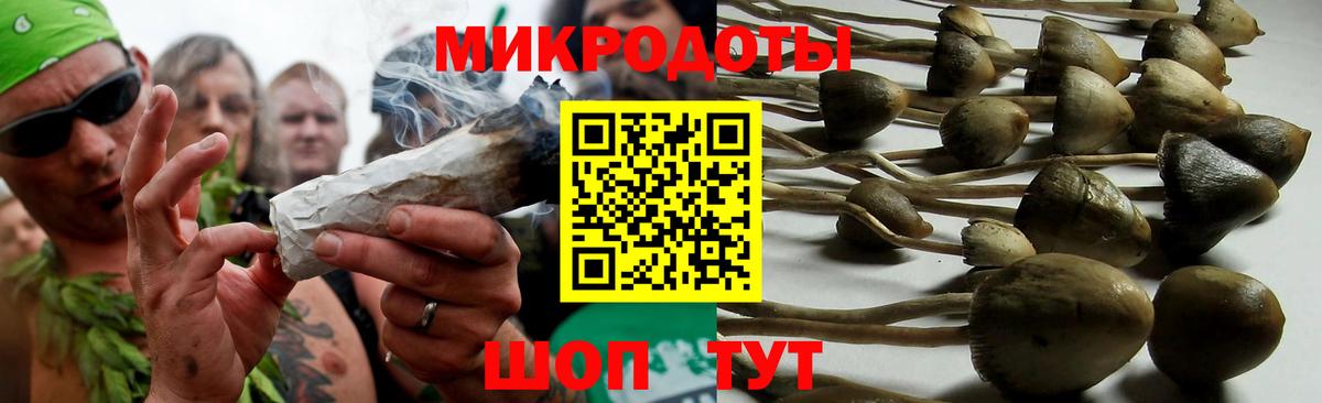 Галлюциногенные грибы Magic Shrooms Гусиноозёрск